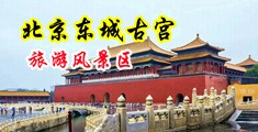 日逼大片免费看中国北京-东城古宫旅游风景区